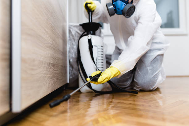 Best Local Pest Control Services  in Fairbury, IL