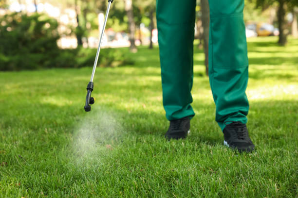 Best Residential Pest Control  in Fairbury, IL