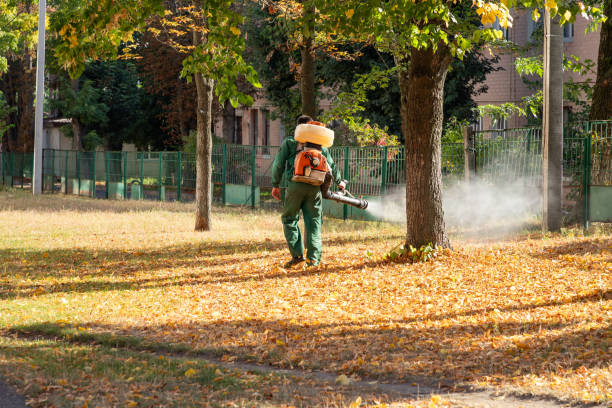 Best Pest Removal Services  in Fairbury, IL