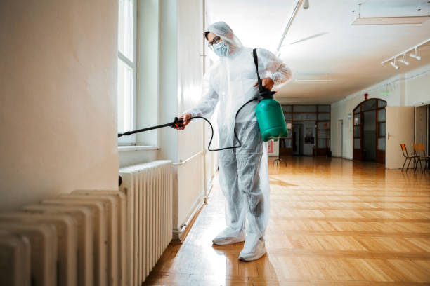 Best Flea Control Services  in Fairbury, IL