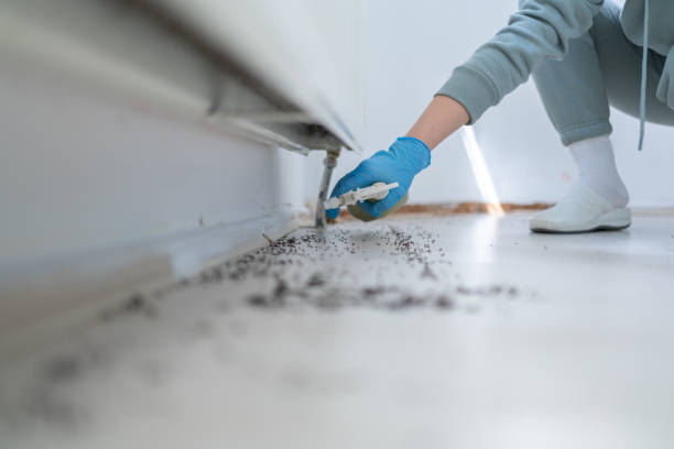 Best Bed Bug Extermination  in Fairbury, IL