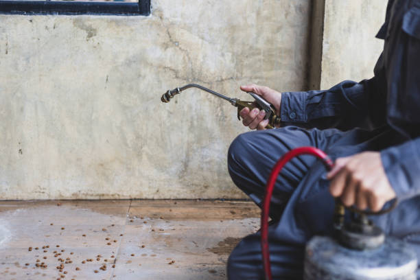 Best Best Pest Control Companies  in Fairbury, IL